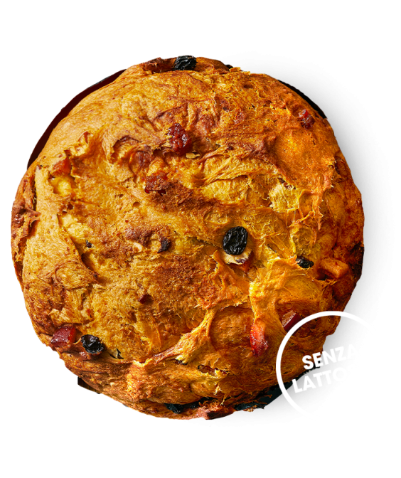 PANETTONE TRADIZIONALE SENZA LATTOSIO - 1000gr - INFERMENTUM